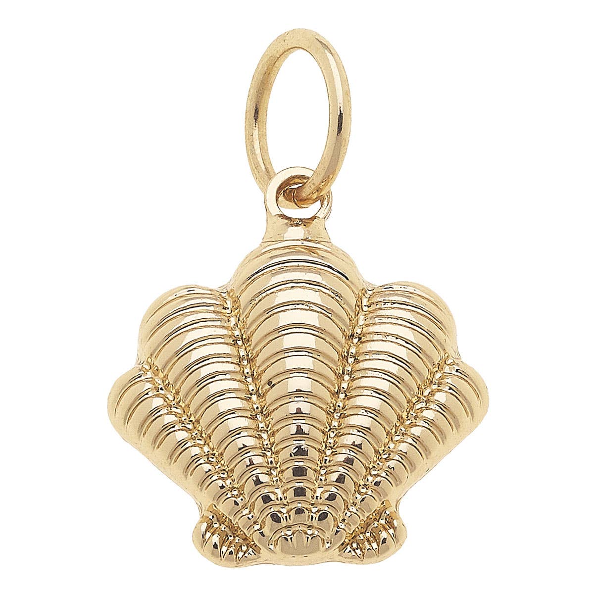 CANVAS STYLE CHARM BAR -Ribbed Clamshell Charm in Shiny Gold