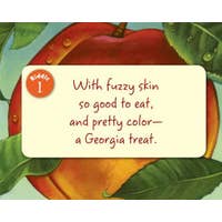 Little Georgia toddler board book